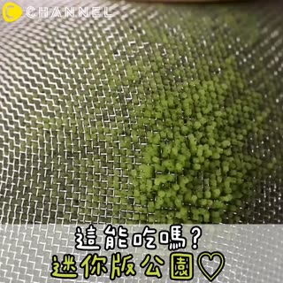 這能吃嗎？迷你版公園♡