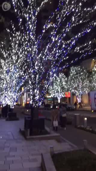 メリークリスマス！六本木&表参道ヒルズのイルミネーション2015