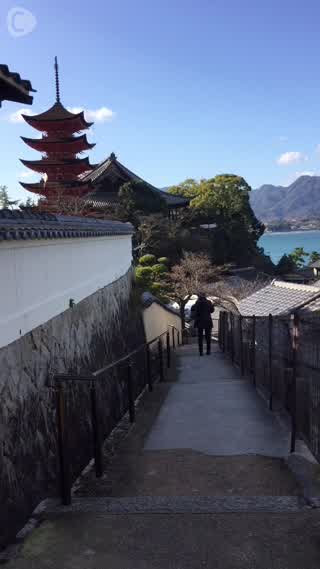 宮島るりかのいちご便り～カキワイ～