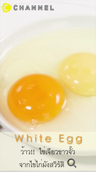 ว้าว! ไข่เจียวขาวจั๊ว จากไข่ไก่มังสวิรัต