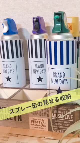 殺虫剤スプレー缶をまとめてスッキリ‼️可愛く見せる収納