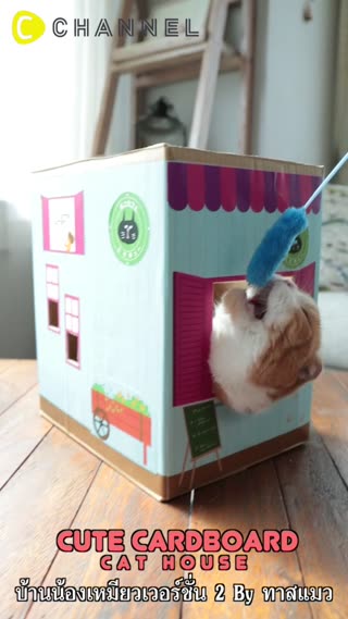 บ้านน้องเหมียวจากลังกล่อง By ทาสแมว