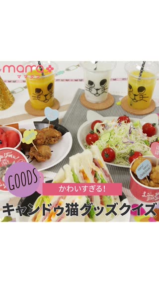 かわいすぎる！キャンドゥ猫グッズクイズ