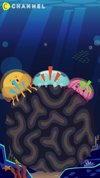 「えのしまんず」第5話