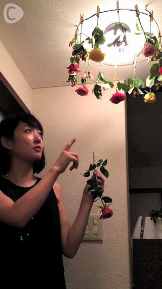 ドライフラワーを作ろう！〜照明周りに可愛く干そう編〜