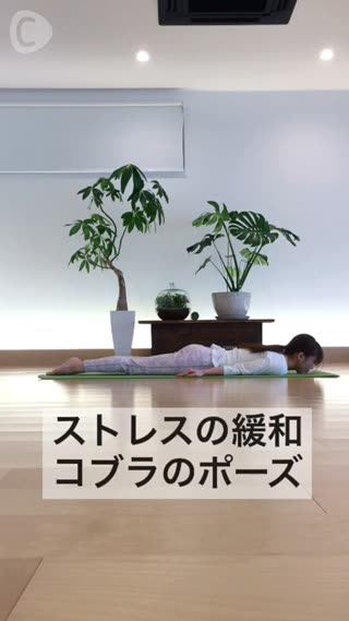 ストレスの緩和 コブラのポーズ