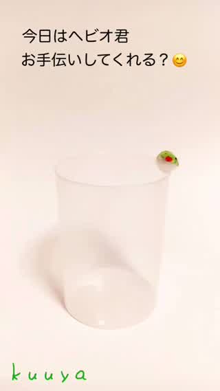 【雑貨】空容器がハギレと毛糸でカラフルペンスタンドに変身！