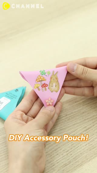 DIY Accessory Pouch!