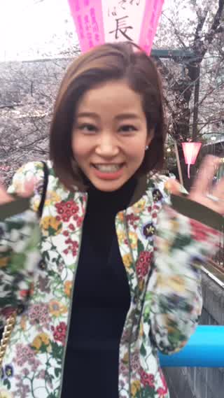 お花見スタイル