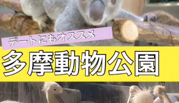 広くてのんびりできる デートにもオススメ多摩動物公園 C Channel