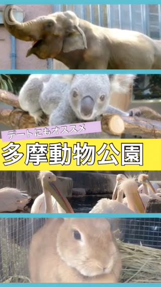 広くてのんびりできる！デートにもオススメ多摩動物公園