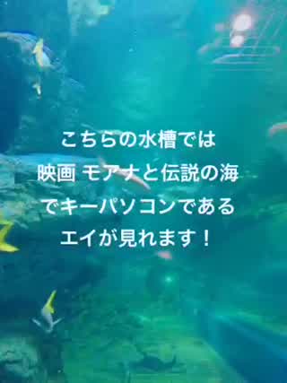 見どころはショーだけじゃない！アクアパーク品川の癒し系動物たち