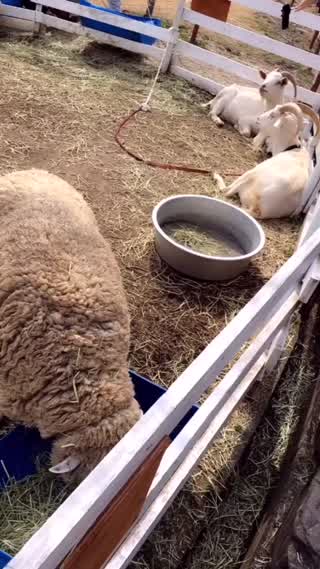 三重県にある《伊賀の里 モクモク手づくりファーム》へ行ってきたよ！