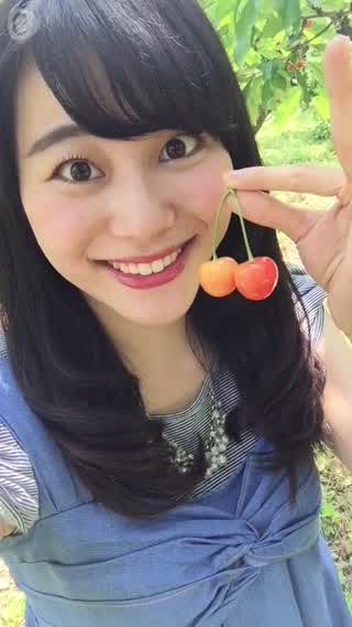 1年でたった1ヶ月しか体験できない！？山梨県南アルプス市でさくらんぼ狩り