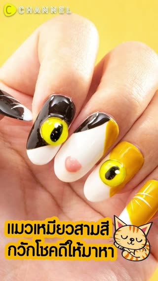 แมวเหมียวสามสี กวักโชคดีให้มาหา 