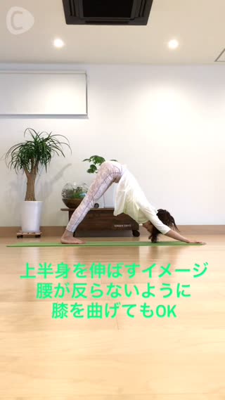 脳の活性化 太陽礼拝Ａ