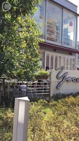 お食事系フレンチトースト！自由が丘Yocco's french toast♡