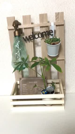 観葉植物はすのこで可愛く飾ろう！