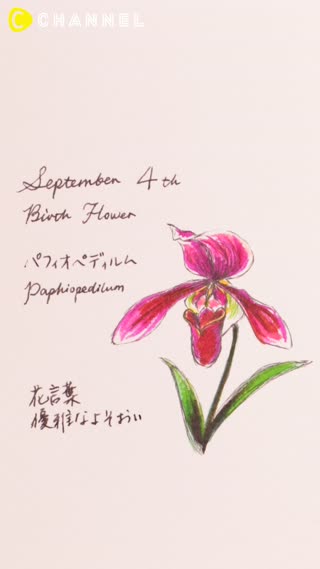 9月4日の誕生花 パフィオペディルム Peachy ライブドアニュース