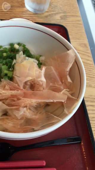 伊勢うどんと天丼がセット♡渋谷ヒカリエ『茶寮 伊勢藤次郎』で和食贅沢ランチ