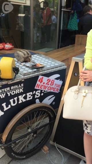 4/28OPEN！LUKE’Sで新感覚ロブスターロール♪