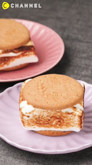 S’mores Ice Cream Sandwich