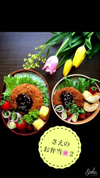 さえのお弁当の紹介 Ｎｏ．2