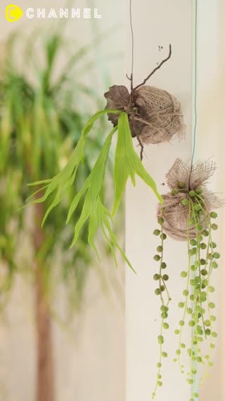 フェイクグリーンでお手入れいらず！簡単吊るすインテリア"プランツハンガー"